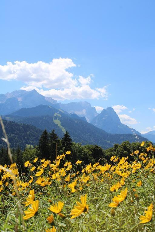 Pfeiffer Alm Am Sonnenhang Mit Blick Auf Die Zugspitze Garmisch-Partenkirchen Luaran gambar